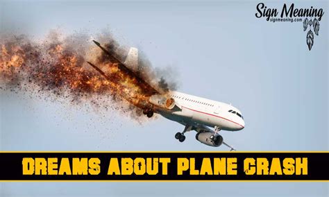 Allah knows the best ( source Ask the Sheikh) Airplane Accident <b>dream</b> interpretations Ask The Sheikh. . Dream about plane crash but survived islam